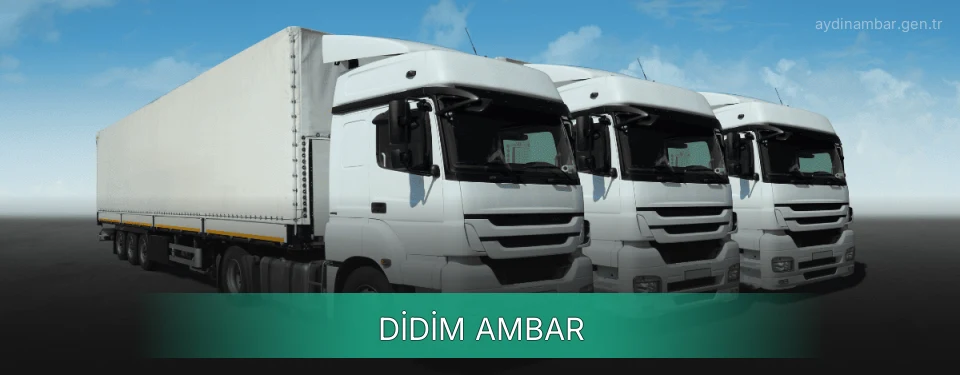 Didim Ambar