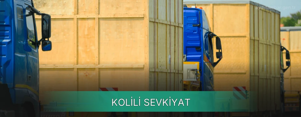 Aydın Kolili Sevkiyat Ambar Firmaları