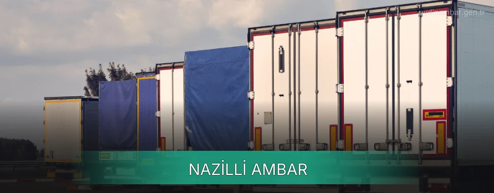 Nazilli Ambar
